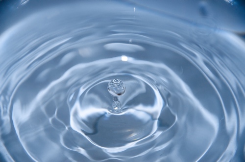 Read more about the article Legionellen im Trinkwasser – das Wesentliche in Kürze